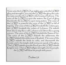 Calamita Frigo Salmi Capitolo