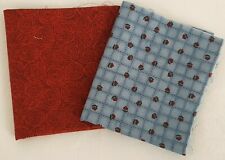 Lotto 2 scampoli tessuto