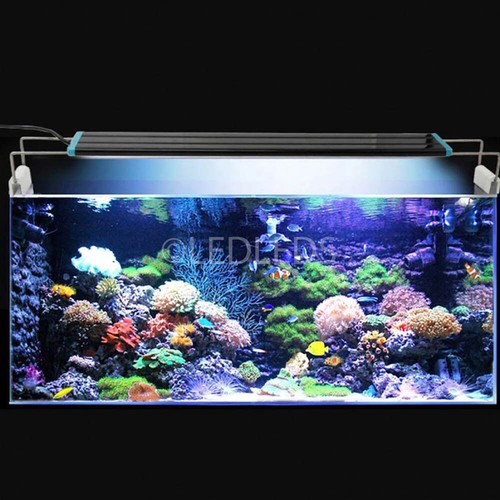 Lampada plafoniera 30cm led - lampada,