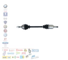 SEMIASSE SEMI ALBERO ANTERIORE