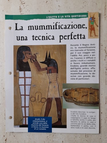 Clipping egitto storia - clipping,