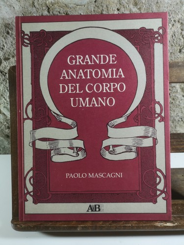 Grande anatomia del corpo
