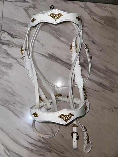 Briglia cavallo con - , in