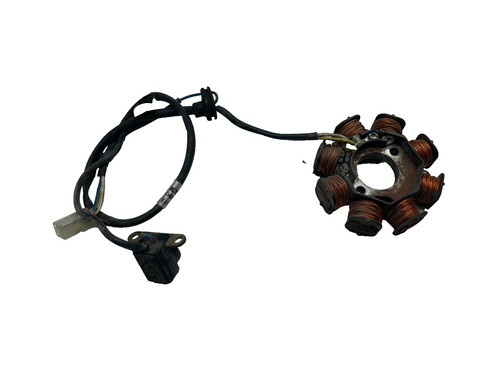 Statore alternatore magnete - statore,