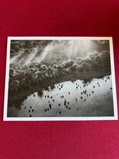 Sebastião Salgado - Okavango Delta (Genesis, 2007)