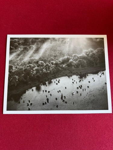 Sebastião salgado okavango - sebastião,