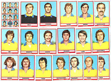 SERIE COMPLETA HELLAS VERONA PANINI 1973-74 recuperate in ottime condizioni