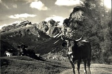 ALTA VAL BADIA, VILLA, Bolzano