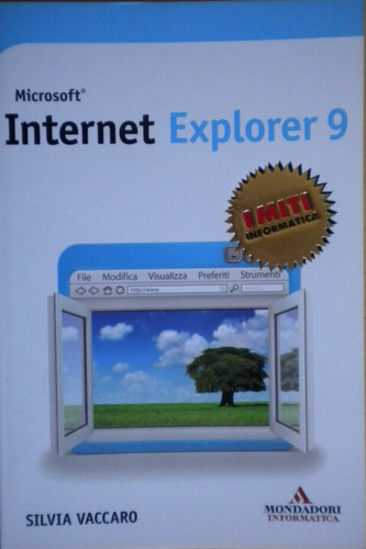 Microsoft internet explorer - internet,