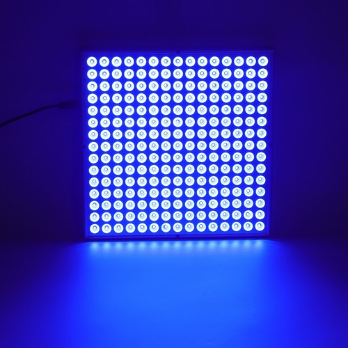 Lampada abbronzante 225pz - abbronzante,