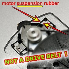 Cinghia Sospensione Motore