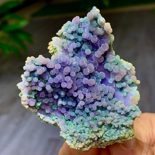 Agata uva viola naturale - d'uva, 70g