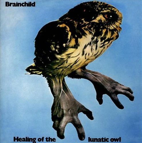Healing the lunatic owl - lunatic,