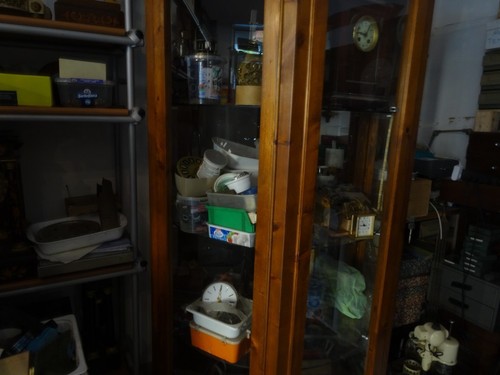 Vetrina per negozio in legno - negozio,,