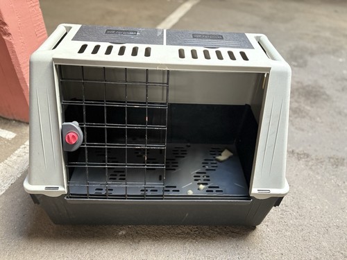 Gabbia per cani auto - gabbia,