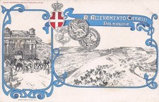 2455) CARTOLINA PALMANOVA