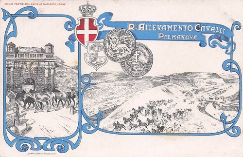 2455 cartolina palmanova - cartolina,