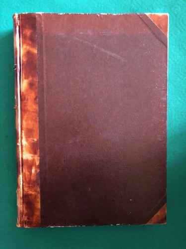 Luciano massari curriculum - luciano,