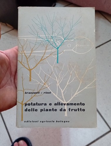 Potatura allevamento delle - allevamento,