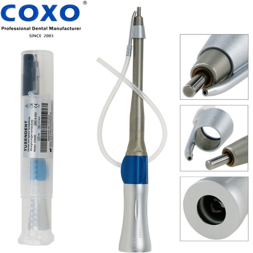 Coxo dentale dritto - dentale, bassa