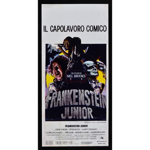 Locandina frankenstein junior - locandina,