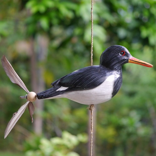 Gioco vento pesca ostriche - gioco,