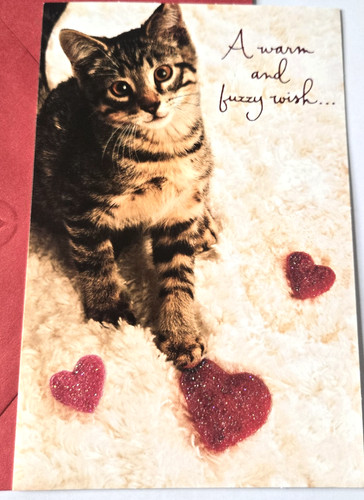 Biglietto san valentino carino - san,