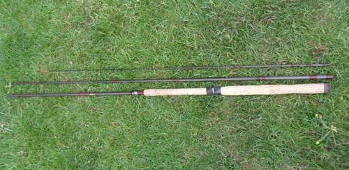Canna pesca daiwa tom - pesca,