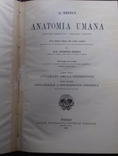 Anatomia Umana. Libro Nono