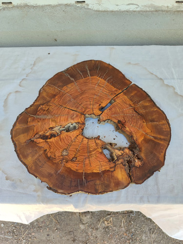 Lastra legno ulivo - lastra, in