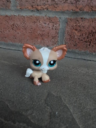 Littlest pet shop - littlest, authentic