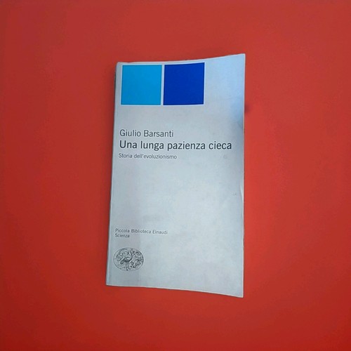 Una lunga pazienza cieca