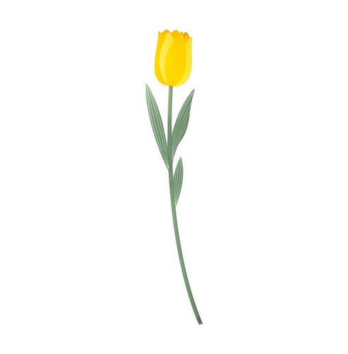 Fiore tulipano cristallo - tulipano,