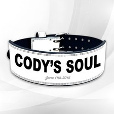 Cintura per sollevamento pesi