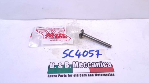 Asta interna frizione moto - interna,