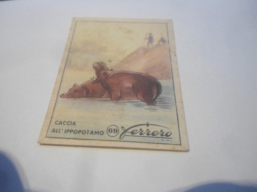 Figurina ferrero caccia - figurina,