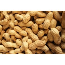 ARACHIDI IN GUSCIO DEL POLLINO TOSTATI