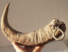 ANTICO GRASSO CONTENITORE