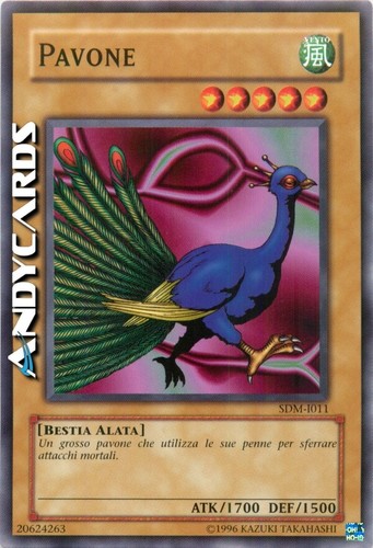 Pavone - (peacock), •