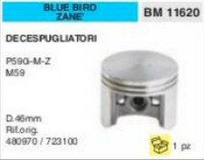 4800970 723100 PISTONE