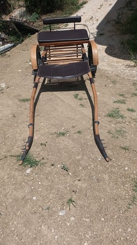 Biga per cavallo - per,