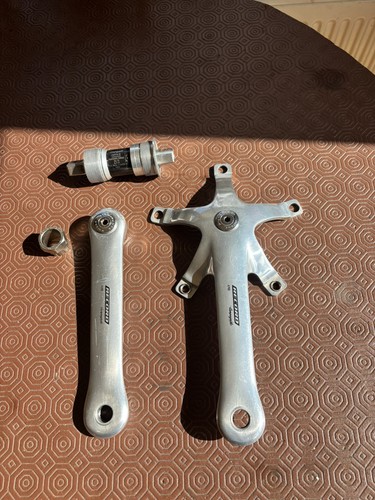 Guarnitura pista campagnolo - guarnitura,