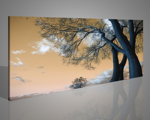 Quadri con alberi paesaggi - alberi, e