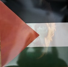 Roger Waters Concert For