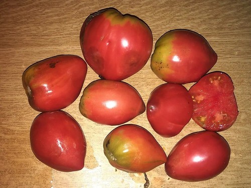 Pomodoro serbo cuore - serbo, a