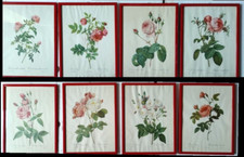 Quadri floreali Pierre-Joseph Redouté 8 quadri diversi tipi di Rose, Lemaire