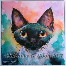  Devon Rex cat art print from
