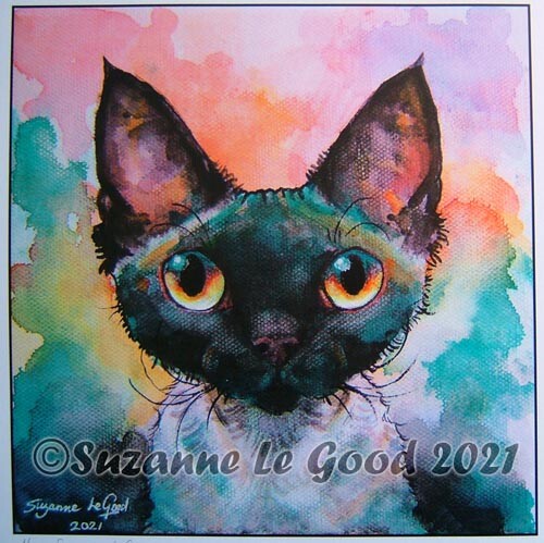 Devon rex cat - devon, print