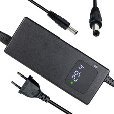 Caricabatterie Al Litio Da 24