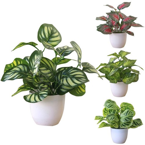 Simulazione pianta vaso - in,